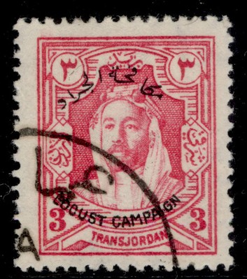 transjordan-gv-sg184-3m-carmine-pink-fine-used