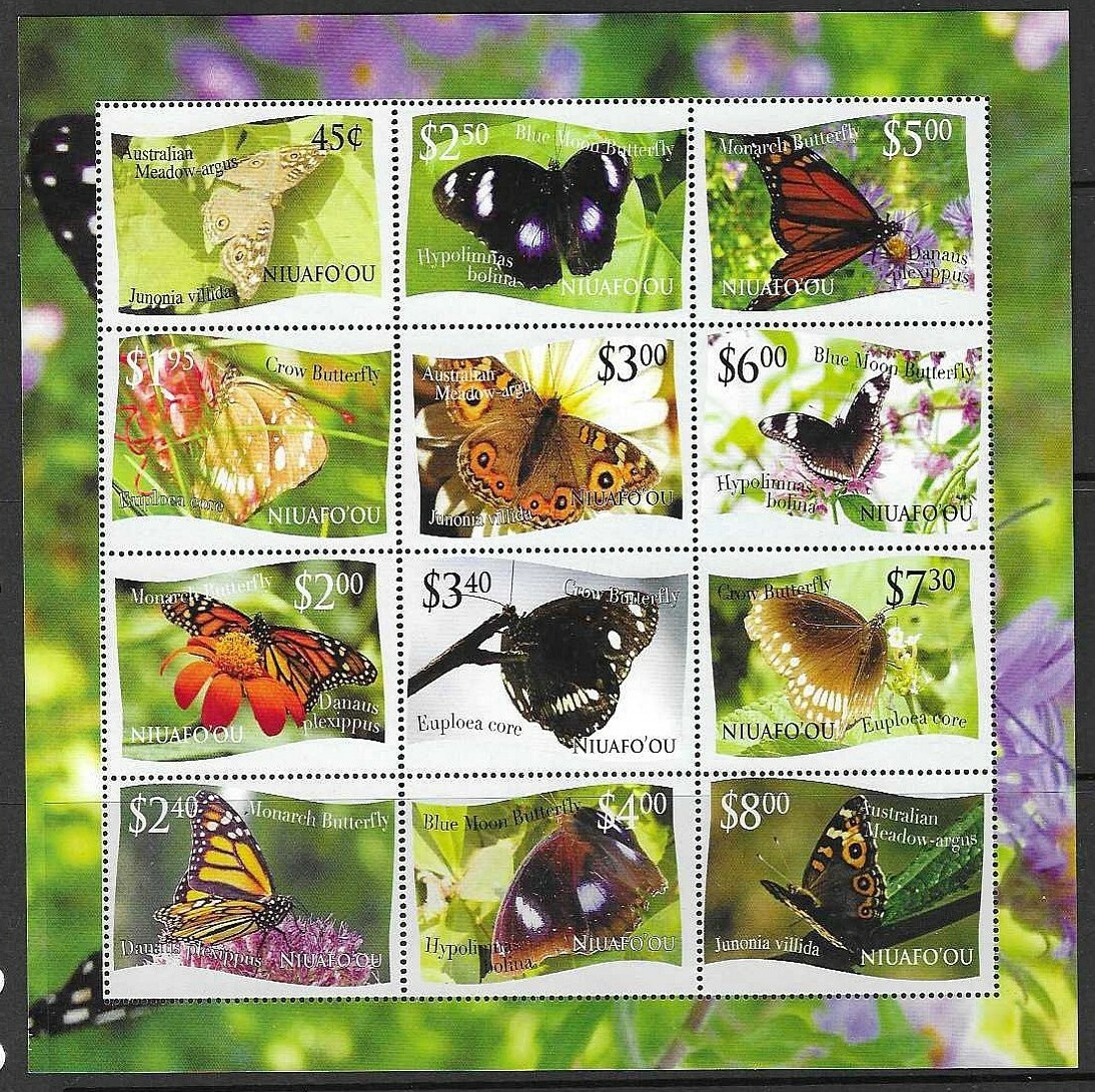 niuafo-ou-sgms364-2012-butterflies-mnh