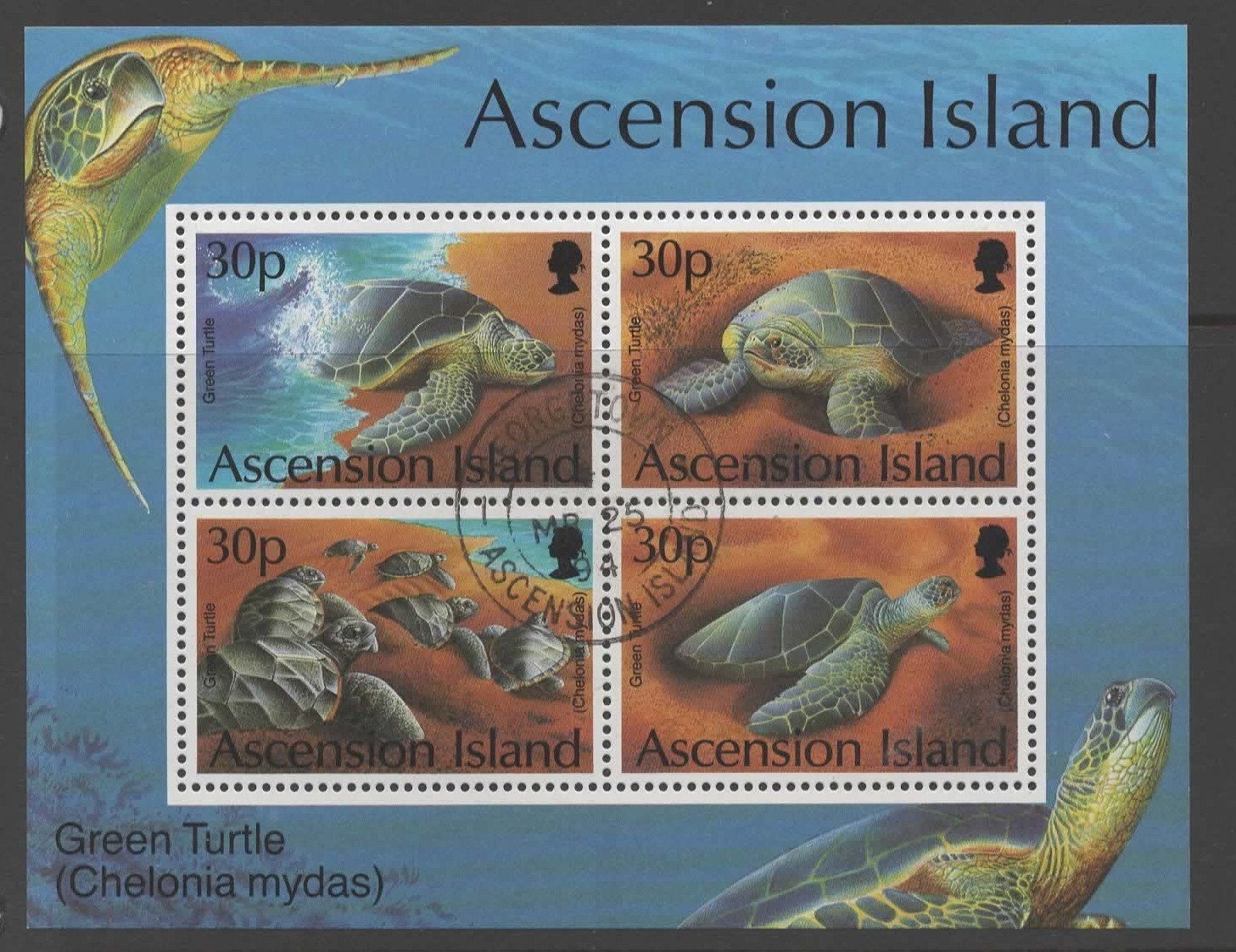 ascension-sgms628-1994-green-turtles-used