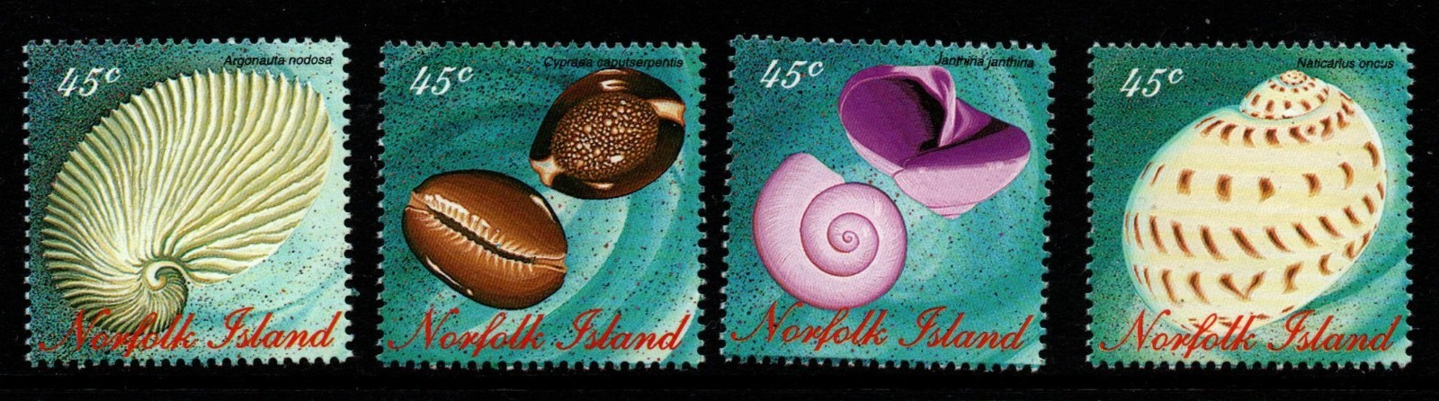 norfolk-island-sg620-3-1996-shells-mnh