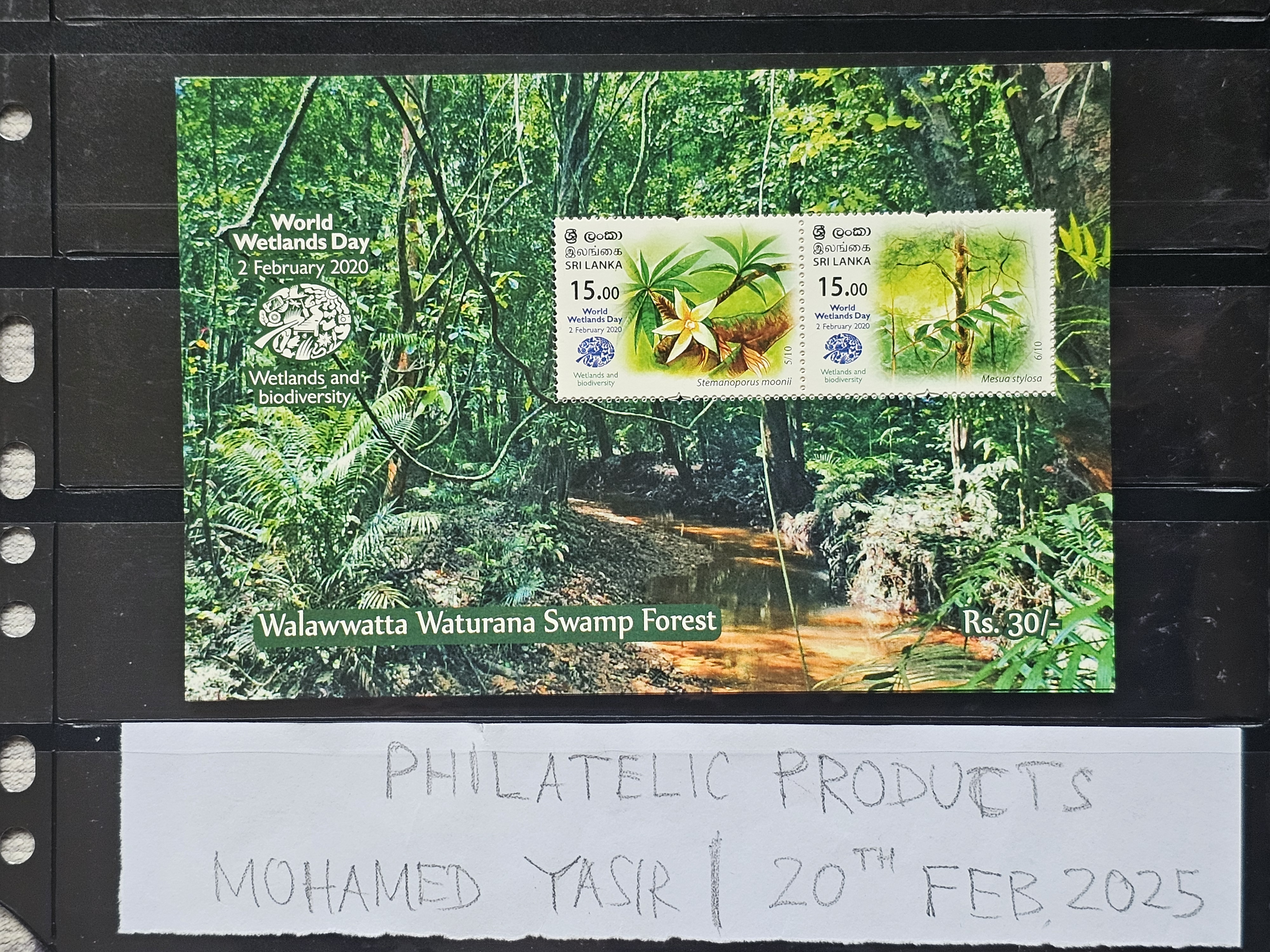 world-wetland-day-2020-walawwatta-forest-sri-lanka-ms-mnh-flora-flowers-plants