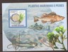 guinea-bissau-2009-marine-fish-plants-sheet-mnh