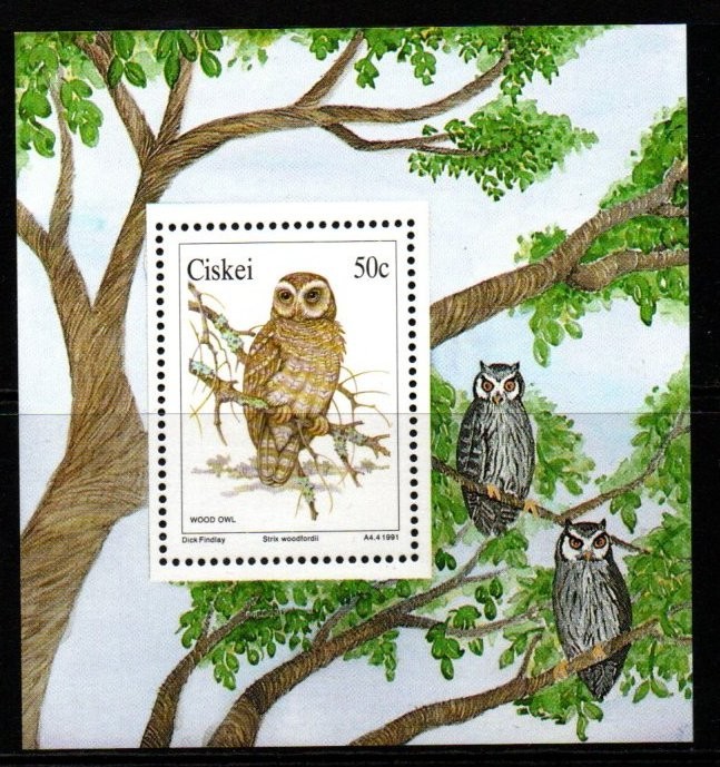 ciskei-sg180-1991-50c-owls-sheetlet-mnh