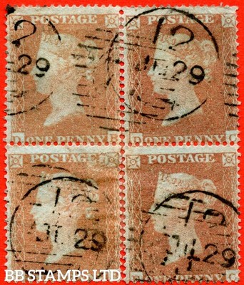 sg-18-c1-2-db-dc-eb-ec-1d-yellow-brown-plate-175-a-fine-29t-b73802