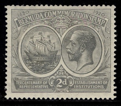 bermuda-gv-sg61-2d-grey-m-mint-cat-18