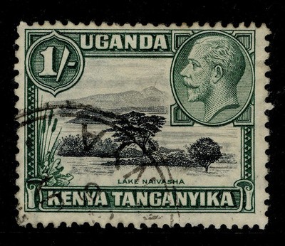 kut-gv-sg118b-1s-black-green-fine-used-cat-140-perf-13-x-12