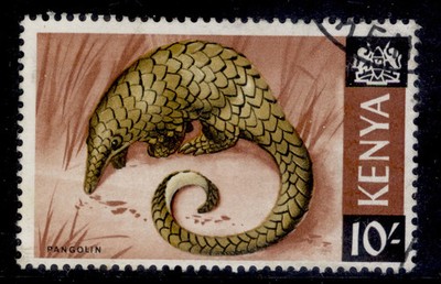 kenya-qeii-sg34-10s-yellow-ochre-black-red-brown-fine-used