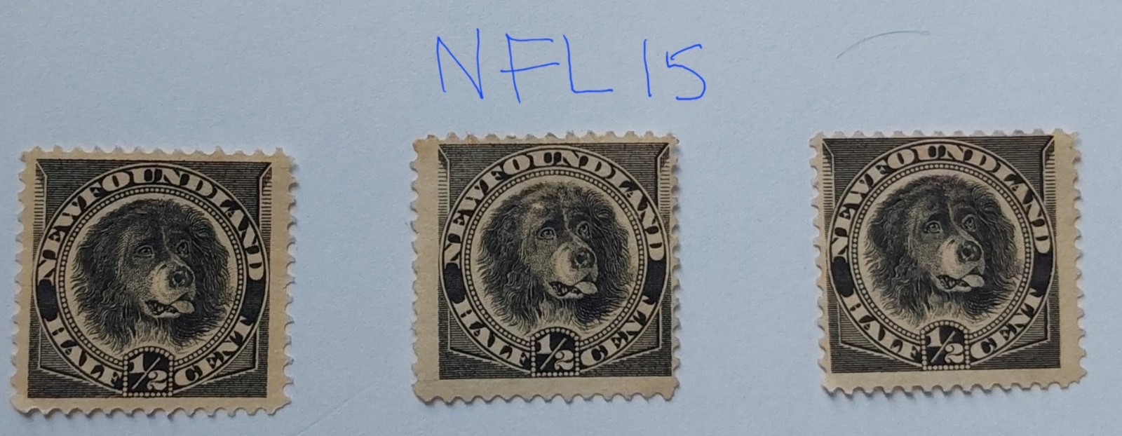 newfoundland-1894-1-2c-black-p12-mint-no-gum-mng-unused-nfl15