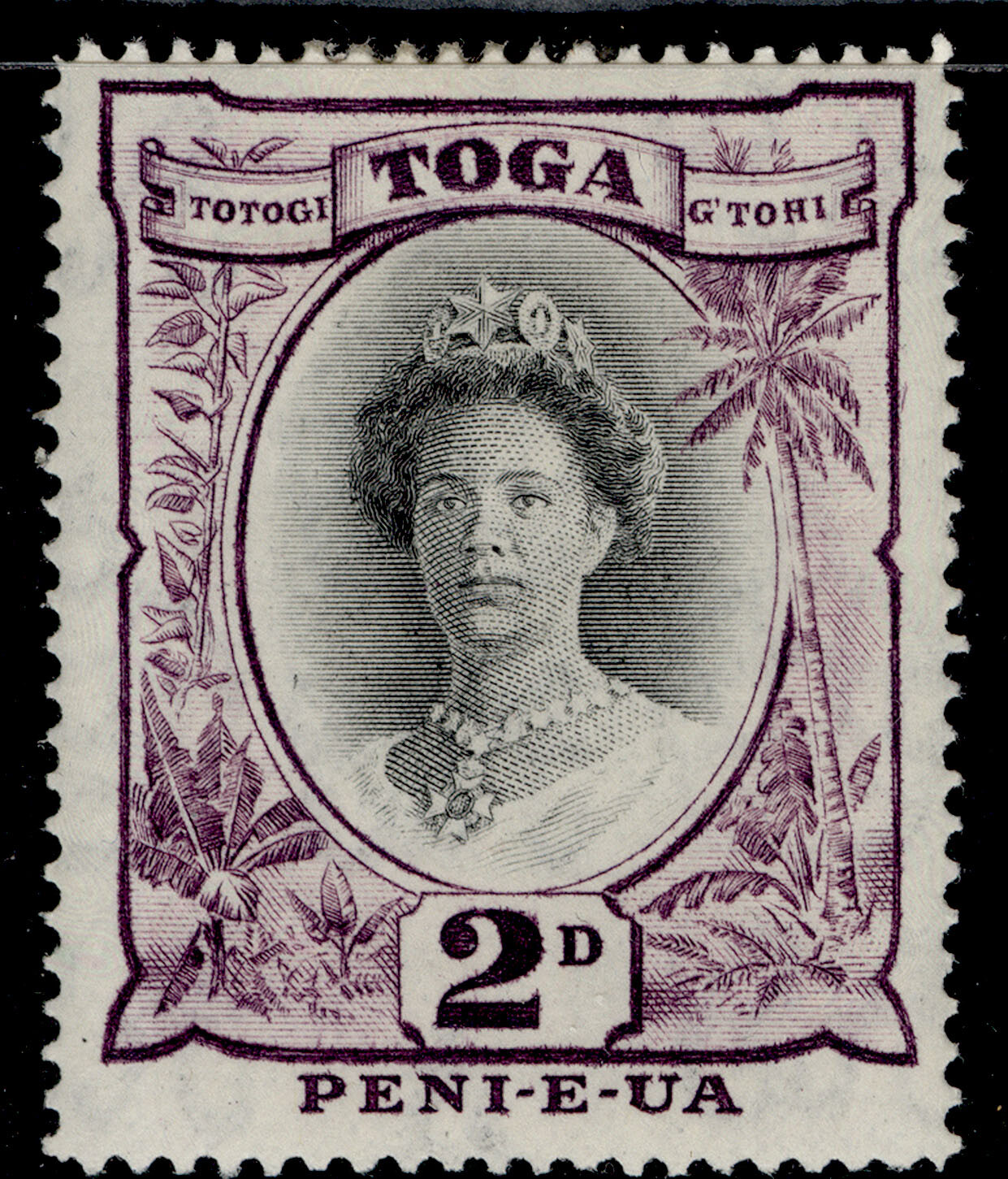 tonga-gvi-sg76-2d-black-purple-m-mint