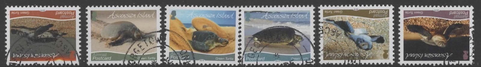 ascension-sg1214-9-2015-green-turtles-used