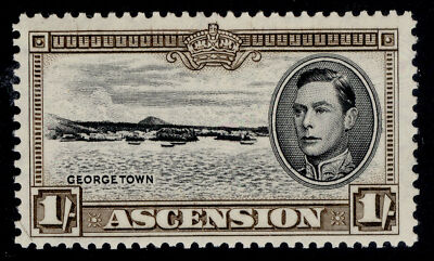 ascension-gvi-sg44a-1s-black-sepia-m-mint