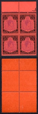 bermuda-sg121d-one-pound-violet-and-black-scarlet-u-m-cat-200