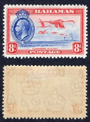 bahamas-sg145-kgv-8d-flamingos-m-m-cat-9-pounds