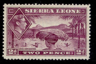 sierra-leone-gvi-sg191-2d-mauve-m-mint-cat-50