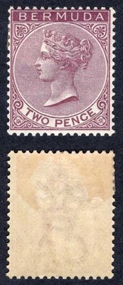 bermuda-sg26a-2d-brown-purple-wmk-ca-m-m-cat-8-pounds