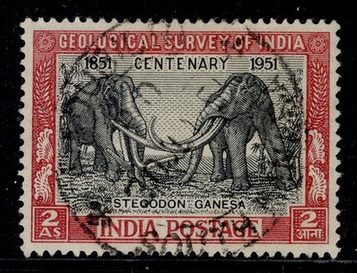 india-gvi-sg334-2a-black-claret-fine-used-cds