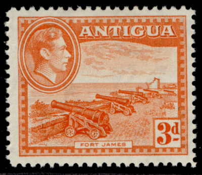 antigua-gvi-sg103-3d-orange-m-mint