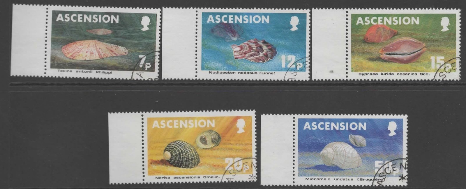 ascension-sg349-53-1983-shells-used