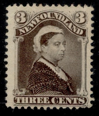 canada-newfoundland-qv-sg65a-3c-chocolate-brown-unused-cat-120