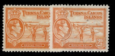 turks-caicos-gvi-sg199-199a-2d-shade-varieties-m-mint-cat-19