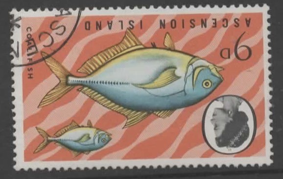 ascension-sg127w-1970-9p-fish-mnh