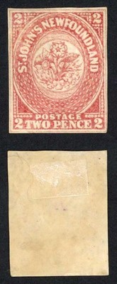 newfoundland-sg17-2d-rose-lake-m-m-cat-300-pounds