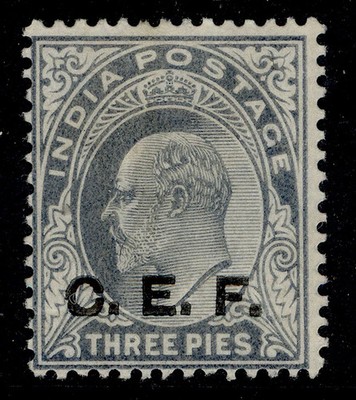 india-cef-edvii-sg-c12-3p-grey-m-mint-cat-13