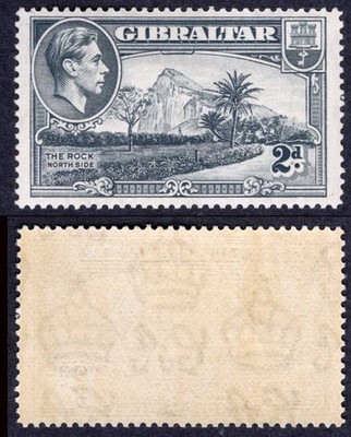 gibraltar-sg124-2d-grey-perf-14-m-m-cat-32-pounds