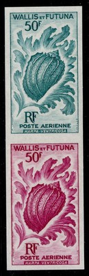 wallis-futuna-1962-50f-harpa-ventricosa-air-imperf-proofs-as-yv-18-nh-mint