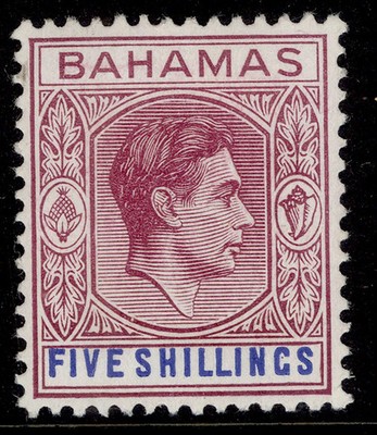 bahamas-gvi-sg156d-5s-brown-purple-deep-bright-blue-lh-mint-cat-50