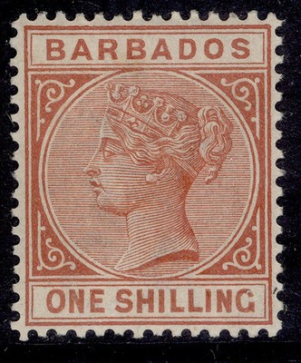 barbados-qv-sg102-1s-chestnut-m-mint-cat-35
