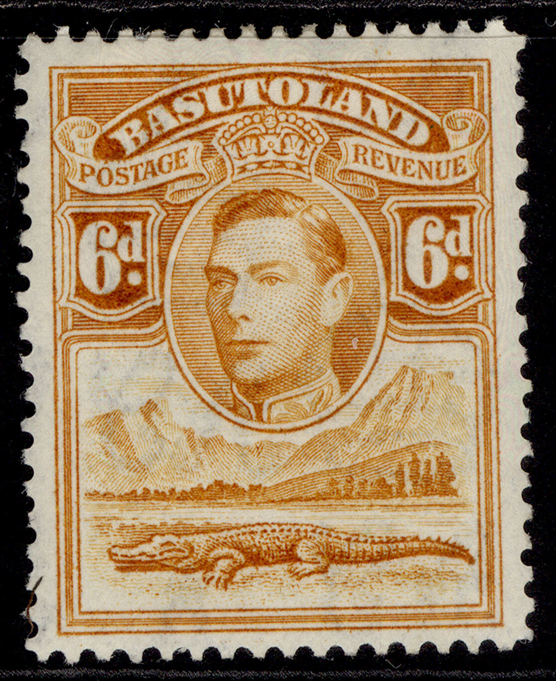 basutoland-gvi-sg24-6d-orange-yellow-m-mint