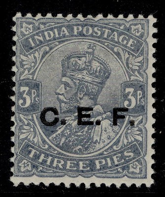 india-cef-gv-sg-c23-3p-grey-m-mint-cat-11