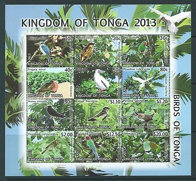 tonga-sgms1689-2013-birds-ii-12-value-sheetlet-mnh