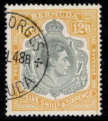 bermuda-gvi-sg120d-12s-6d-grey-yellow-fine-used-cat-350