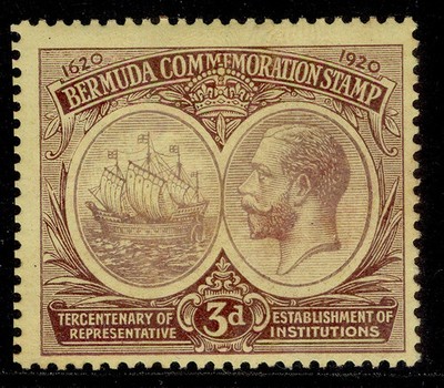 bermuda-gv-sg62-3d-dull-deep-purple-pale-yellow-m-mint-cat-14