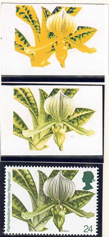 qeii-sg1660-colour-photographic-bromide-proofs-in-bright-yellow-and-yellow-green