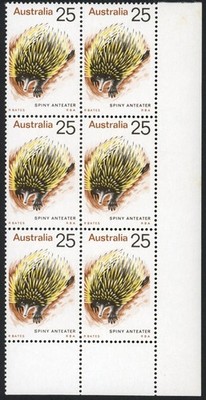 australia-bw660f-retouch-in-brown-over-hind-paw-u-m-mounted-in-margin