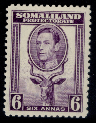 somaliland-protectorate-gvi-sg98-6a-violet-m-mint-cat-16