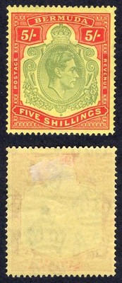 bermuda-sg118-5-green-and-red-yellow-m-m-cat-100-pounds