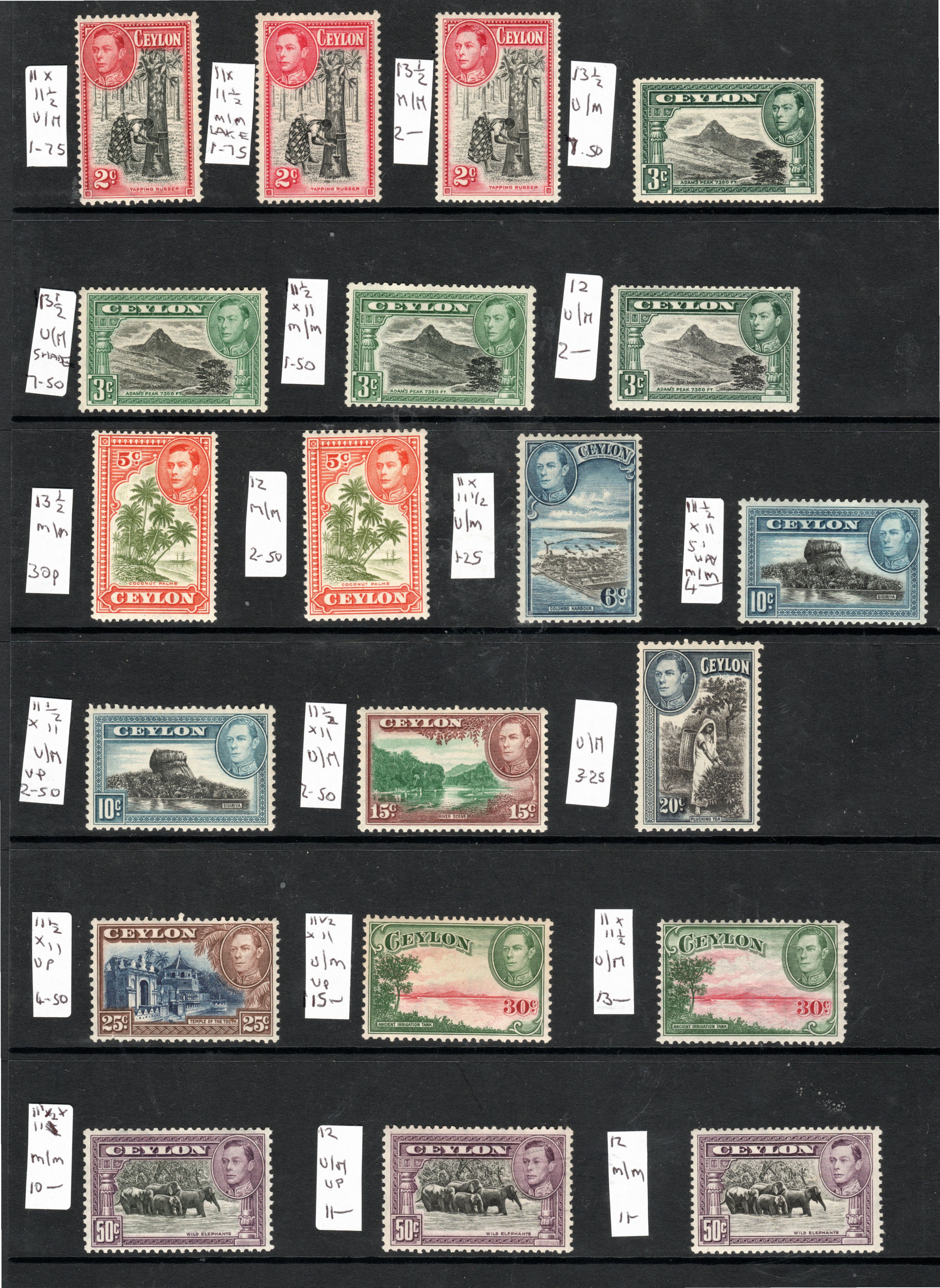 a-small-collection-of-g6th-ceylon-m-m-and-u-m-with-perf-varieties