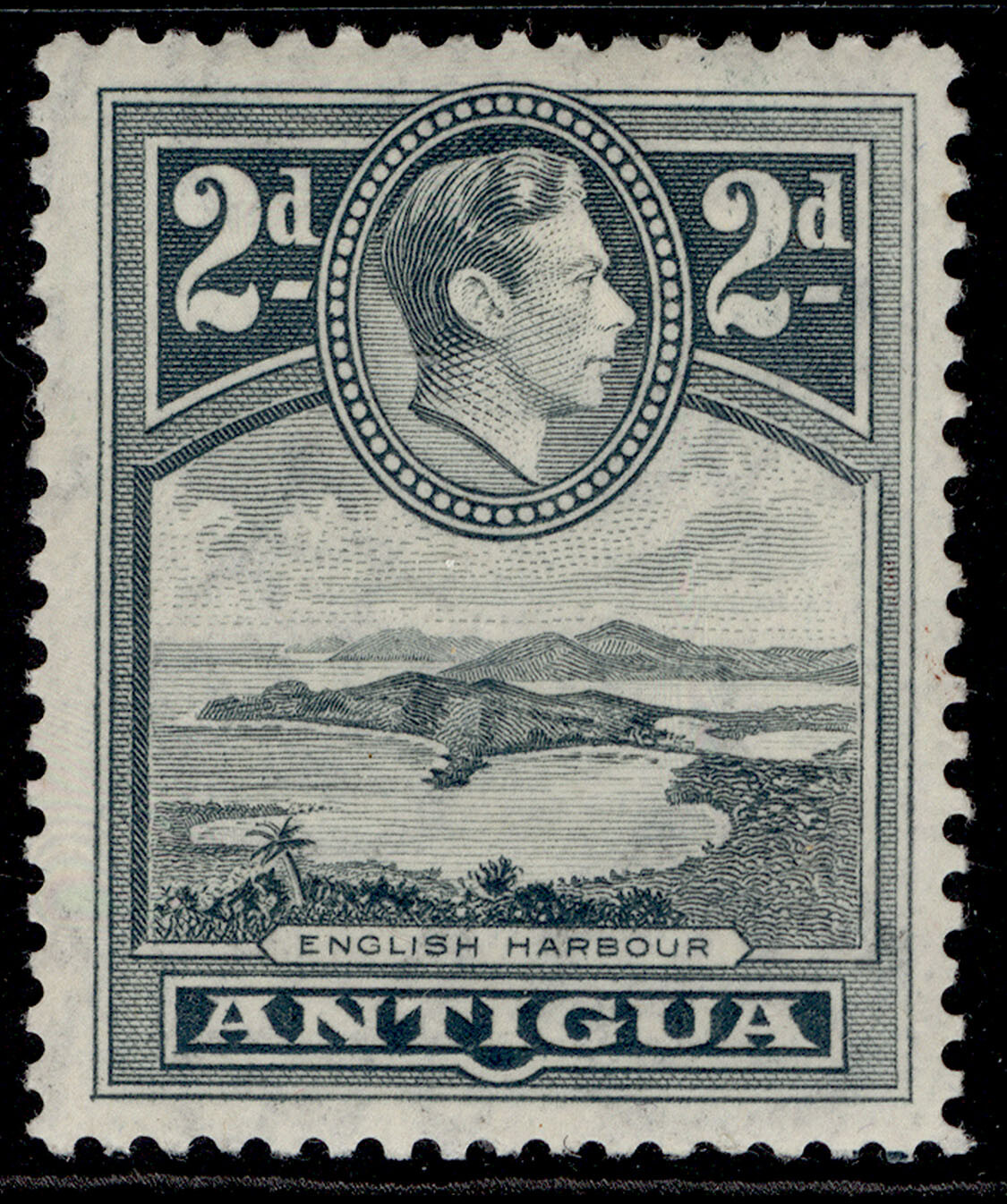 antigua-gvi-sg101-2d-grey-m-mint