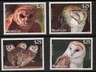 niuafo-ou-sge1-4-2012-owls-mnh