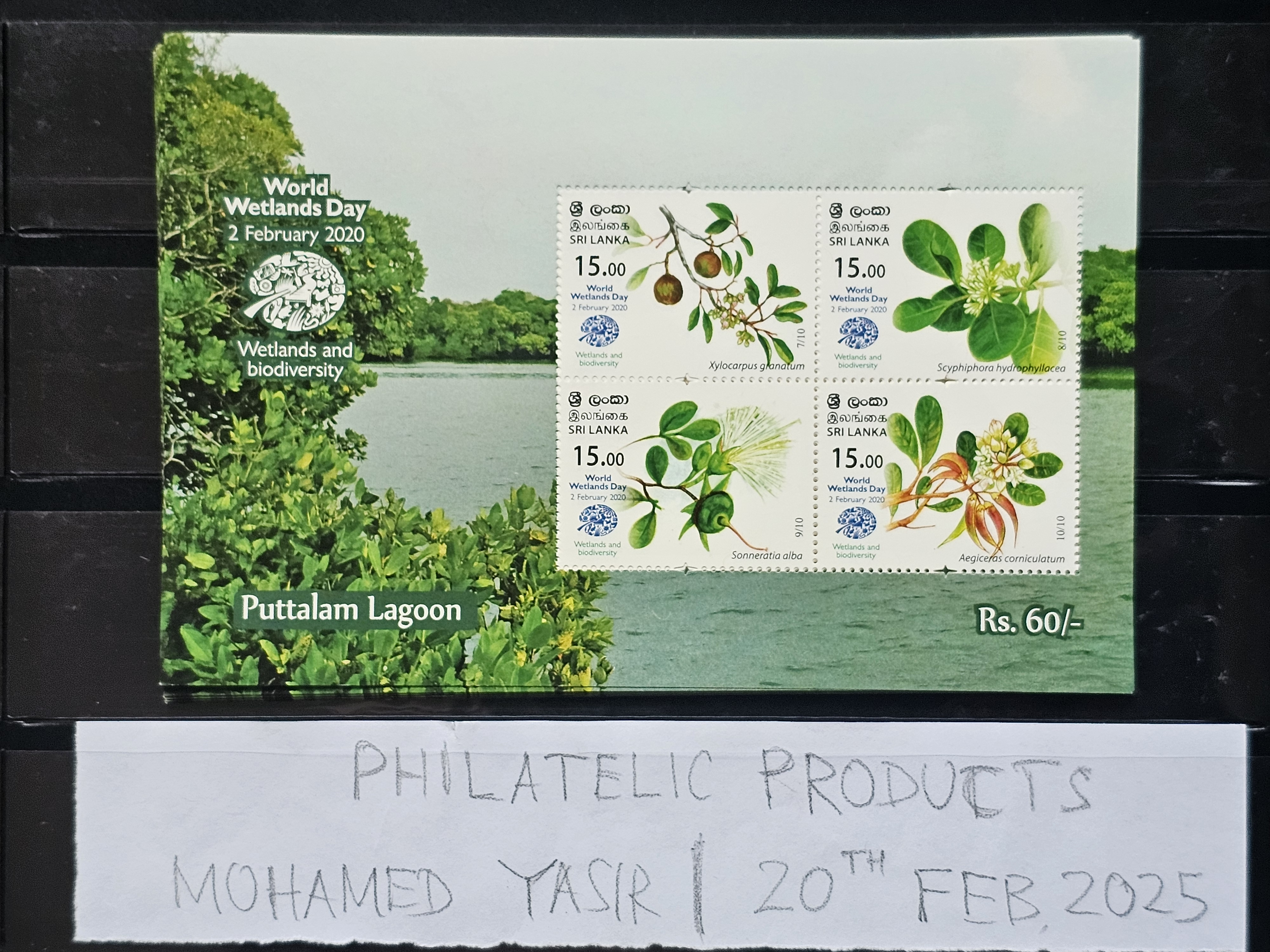 world-wetland-day-2020-puttalam-lagoon-sri-lanka-ss-mnh-flora-flowers-plants
