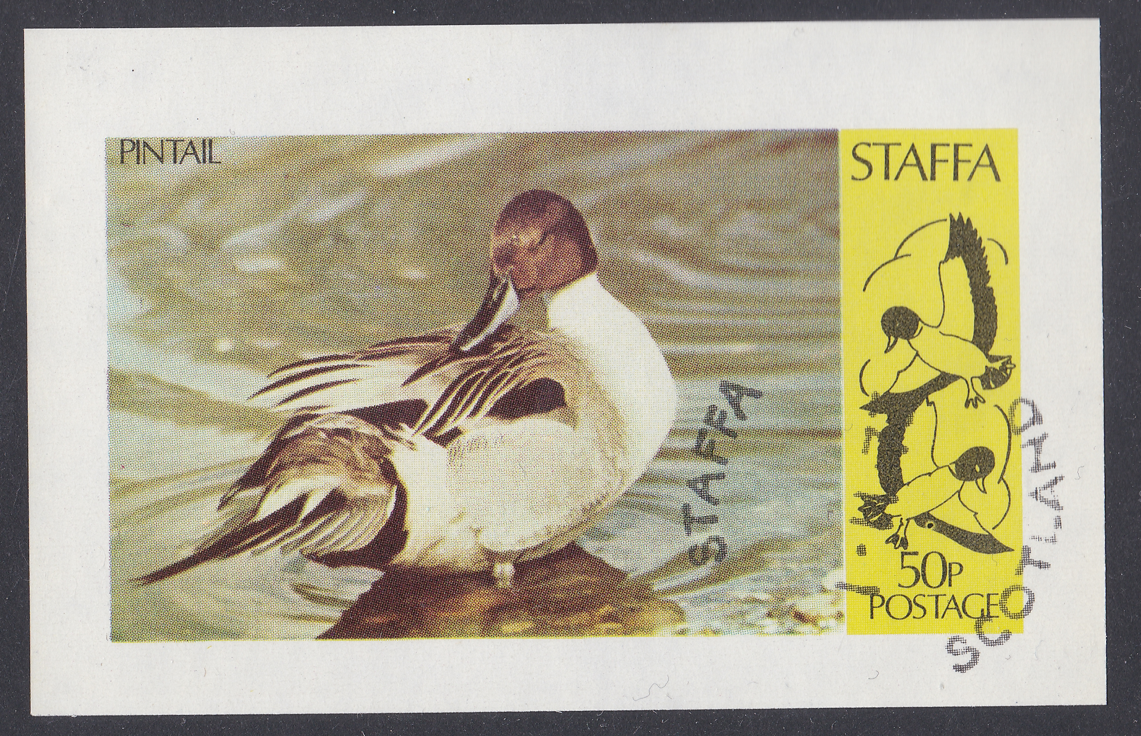 scotland-staffa-imperf-souvenir-sheet-water-birds-pintail-50p-used