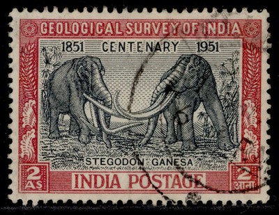 india-gvi-sg334-2a-black-claret-fine-used