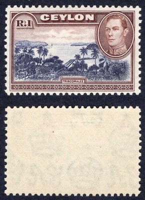 ceylon-sg395a-1r-wmk-upright-mm-cat-20-pounds