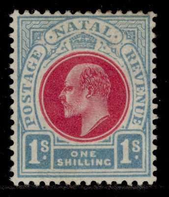 south-africa-natal-edvii-sg155-1s-carmine-pale-blue-m-mint-cat-85