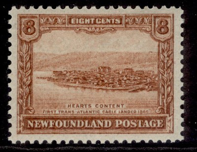 canada-newfoundland-gv-sg204-8c-chestnut-m-mint-cat-48