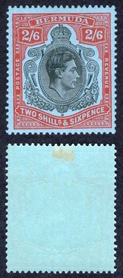 bermuda-sg117d-2-6-black-and-red-pale-blue-perf-13-m-m-cat-18-pounds
